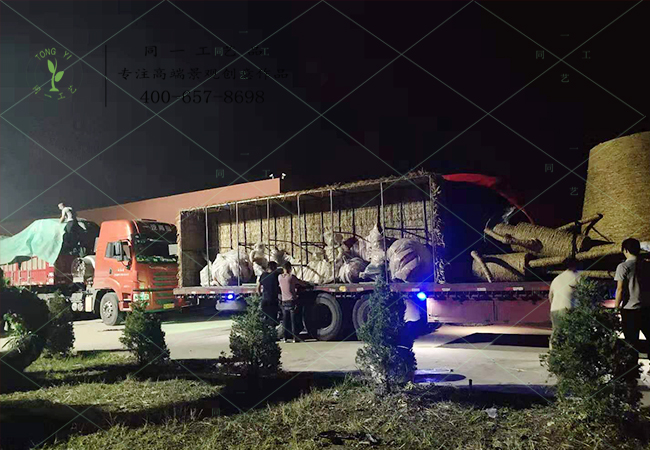 山西稻草工藝品草雕發(fā)貨