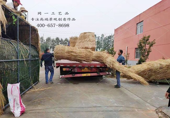 蘇州稻大型草工藝品發(fā)貨